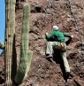 Climbing, White Stallion Ranch, Tucson, Arizona Credit: White Stallion Ranch