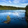 McQuary Columbia Congaree River, Columbia, South Carolina Credit: South Carolina Tourism Office