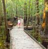 Park Paddlin, Congaree NP, South Carolina Credit: South Carolina Tourism Office